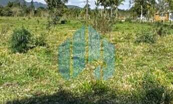 Imagem 5: Amplo Terreno, Laranjal