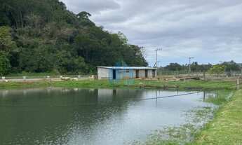 Imagem 5: Belo Sítio com 1,5 Hectares, Penha