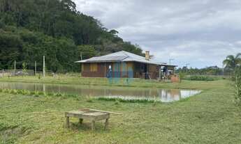 Imagem 3: Belo Sítio com 1,5 Hectares, Penha