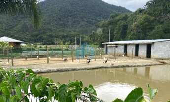 Imagem 7: Belo Sítio com 1,5 Hectares, Penha