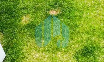 Imagem 6: Bela Casa Próxima de Todo Comércio da Região, Campo Duna