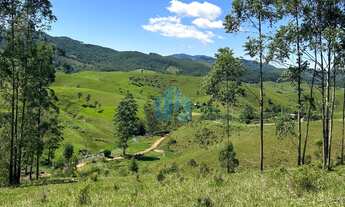 Imagem: Amplo Terreno de 3,09 Hectares em Área