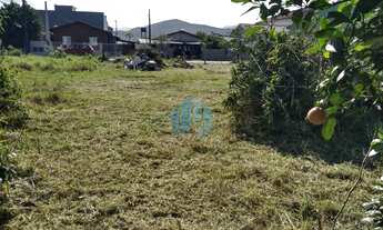 Imagem 4: Ótimo Terreno Localizado no Bairro Areias
