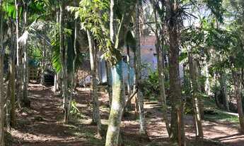 Imagem 2: Amplo Terreno a 70 m da Cachoeira e 1,5 km da Praia do Siriú, Siriú