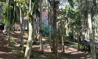 Imagem 3: Amplo Terreno a 70 m da Cachoeira e 1,5 km da Praia do Siriú, Siriú