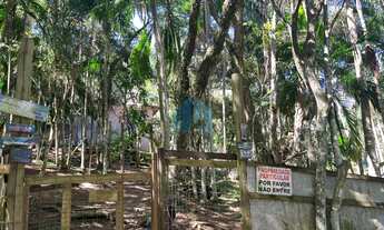 Imagem 6: Amplo Terreno a 70 m da Cachoeira e 1,5 km da Praia do Siriú, Siriú