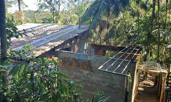 Imagem 7: Amplo Terreno a 70 m da Cachoeira e 1,5 km da Praia do Siriú, Siriú
