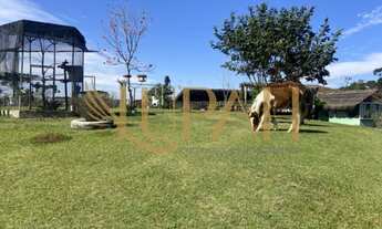 Imagem: CHACARA RURAL em CURITIBA - PR, CIDADE INDUSTRIAL