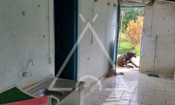 Imagem 2: CHACARA RURAL em MOGI GUAÇU - SP, JATOBAZEIRO