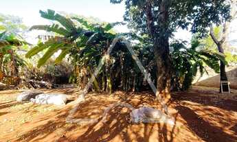 Imagem 3: CHACARA RESIDENCIAL em Mogi Mirim - SP, PARAISO DA CACHOEIRA