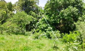 Imagem 3: SITIO RURAL em Mogi Guaçu - SP, Veridiana