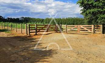 Imagem 7: AREA RURAL em Mogi Guaçu - SP, Roseira