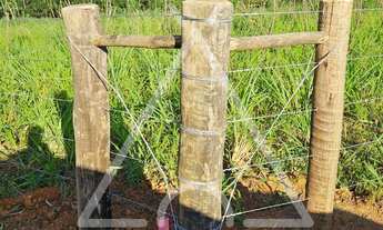 Imagem 5: AREA RURAL em Mogi Guaçu - SP, Roseira