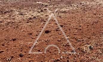 Imagem 2: TERRENO RURAL em CONCHAL - SP, CONCHAL