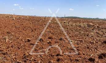 Imagem 3: TERRENO RURAL em CONCHAL - SP, CONCHAL