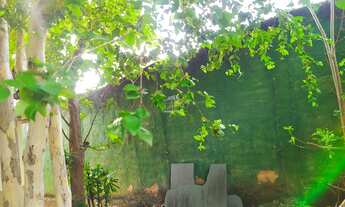 Imagem 6: Vendo lote no bairro Paraíso com Pompéia