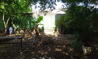 Imagem 5: Vendo lote no bairro Paraíso com Pompéia