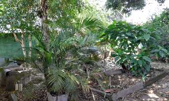 Imagem 4: Vendo lote no bairro Paraíso com Pompéia