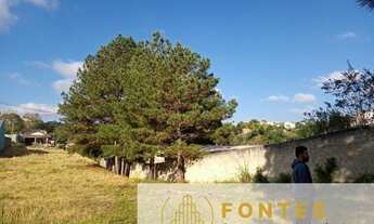 Imagem: Excelente terreno no bairro São Dimas em