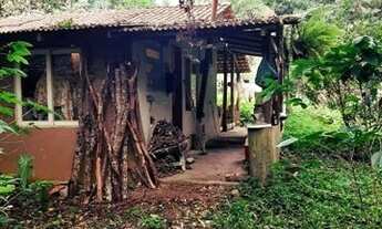 Imagem 5: Sítio situado em Adrianópolis no entorno do Parque das Lauráceas em local de natureza priv