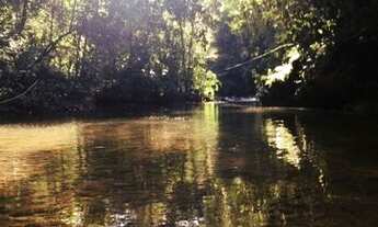 Imagem 3: Sítio situado em Adrianópolis no entorno do Parque das Lauráceas em local de natureza priv