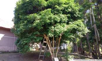 Imagem 3: Excelente chácara porteira fechada, vai com todos os animais que possuí e estrutura comp