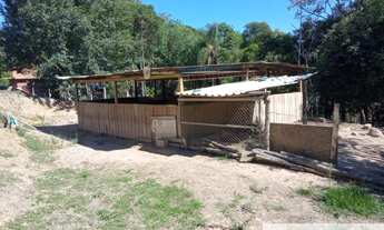 Imagem 5: Excelente chácara porteira fechada, vai com todos os animais que possuí e estrutura comp