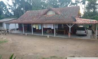 Imagem 2: Excelente chácara porteira fechada, vai com todos os animais que possuí e estrutura comp