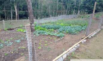 Imagem 4: Excelente chácara porteira fechada, vai com todos os animais que possuí e estrutura comp