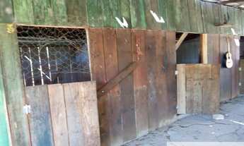 Imagem 7: Excelente chácara porteira fechada, vai com todos os animais que possuí e estrutura comp