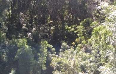 Imagem 7: Casa(170m2), em terreno de 481m2,(com declive) com 3 dormitórios amplos, 2 banheiros socia