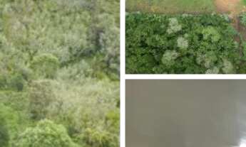 Imagem: Chácara localizada no bairro Roseira (Colombo)