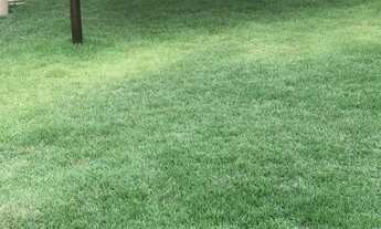 Imagem 6: CHACARA RESIDENCIAL em GUARAPARI - ES, TARTARUGA