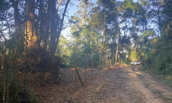 Imagem 6: VENDO TERRENO NO BAIRRO DOS REMEDIOS EM MAIRIPORÃ. CHÁCARA DOS EUCALIPTOS