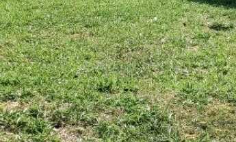 Imagem 2: RR7706 Terreno 250m² CONDOMÍNIO MORADA DA ALDEIA - OPORTUNIDADE - Santana de Parnaíba, SP