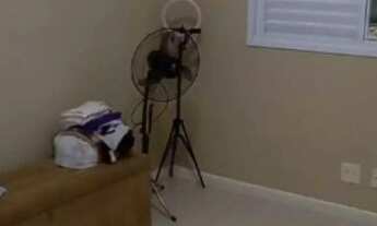 Imagem 7: RR7908 Apartamento 55m² CONDOMÍNIO VIDA NOVA - OPORTUNIDADE - 2 Dorms 1 Vaga - Barueri, SP