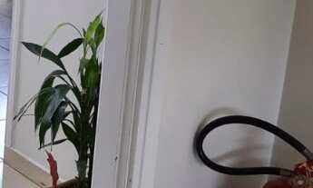 Imagem 6: RR8153 Casa 250m² CARAPICUÍBA - OPORTUNIDADE - Carapicuíba, SP - Ótima Localização - CENTR