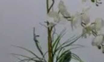 Imagem 7: RR9477 Apartamento 68m² CONDOMÍNIO RESERVA DO ALTO - Barueri, SP - 2 Dorms 1 Vaga- OPORTUN