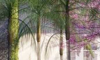 Imagem 2: 3 dormitórios na Rua França Pinto