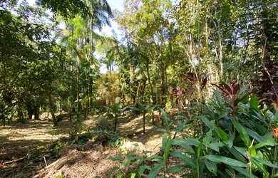 Imagem 5: TERRENO RESIDENCIAL em São Sebastião - SP, Sertão do Piavu