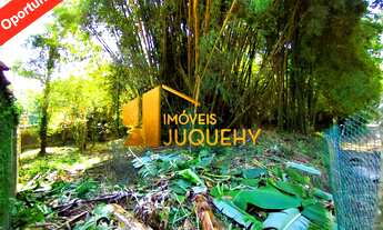 Imagem: Oportunidade em Juquehy
