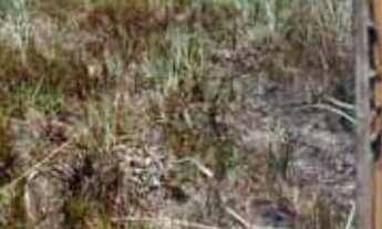 Imagem: Venda de Loteamento denominado Chácara