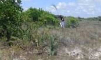 Imagem 3: Venda de Loteamento denominado Chácara do Abaís, Povoado de Caueira- Itaporanga D Ajuda