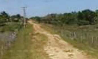 Imagem 4: Venda de Loteamento denominado Chácara do Abaís, Povoado de Caueira- Itaporanga D Ajuda