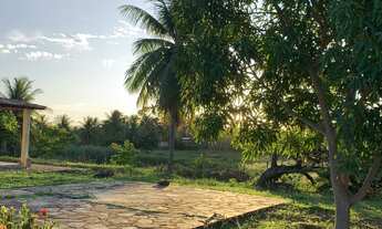 Imagem 3: Vendo Chácara, Sítio com 6 tarefas ( 18122m2) tipo espaço para eventos com instalações par