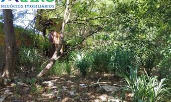 Imagem 3: Vendo Área Estratégica: 6.000m2 para Projetos de Expansão! Se você busca espaço para cres