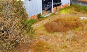 Imagem 6: Localização Privilegiada: Aproveite a chance de adquirir um galpão com uma posição estraté