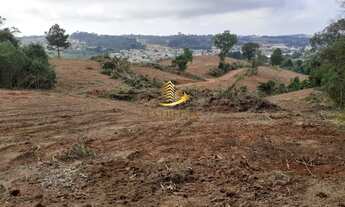 Imagem 5: Vende área BR-277/PR-423, Trevo contorno Campo Largo