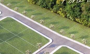 Imagem 3: TERRENO WIÉS, 244M² de Área Total