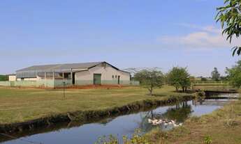 Imagem 2: SITIO RURAL em CONCHAL - SP, CONCHAL